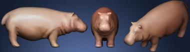 3D model Hippopotamus 01 (STL)